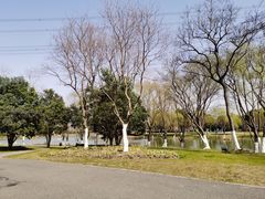 -九里河湿地公园