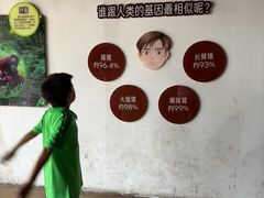-武汉动物园