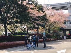 -南浦大桥长途旅游客运站