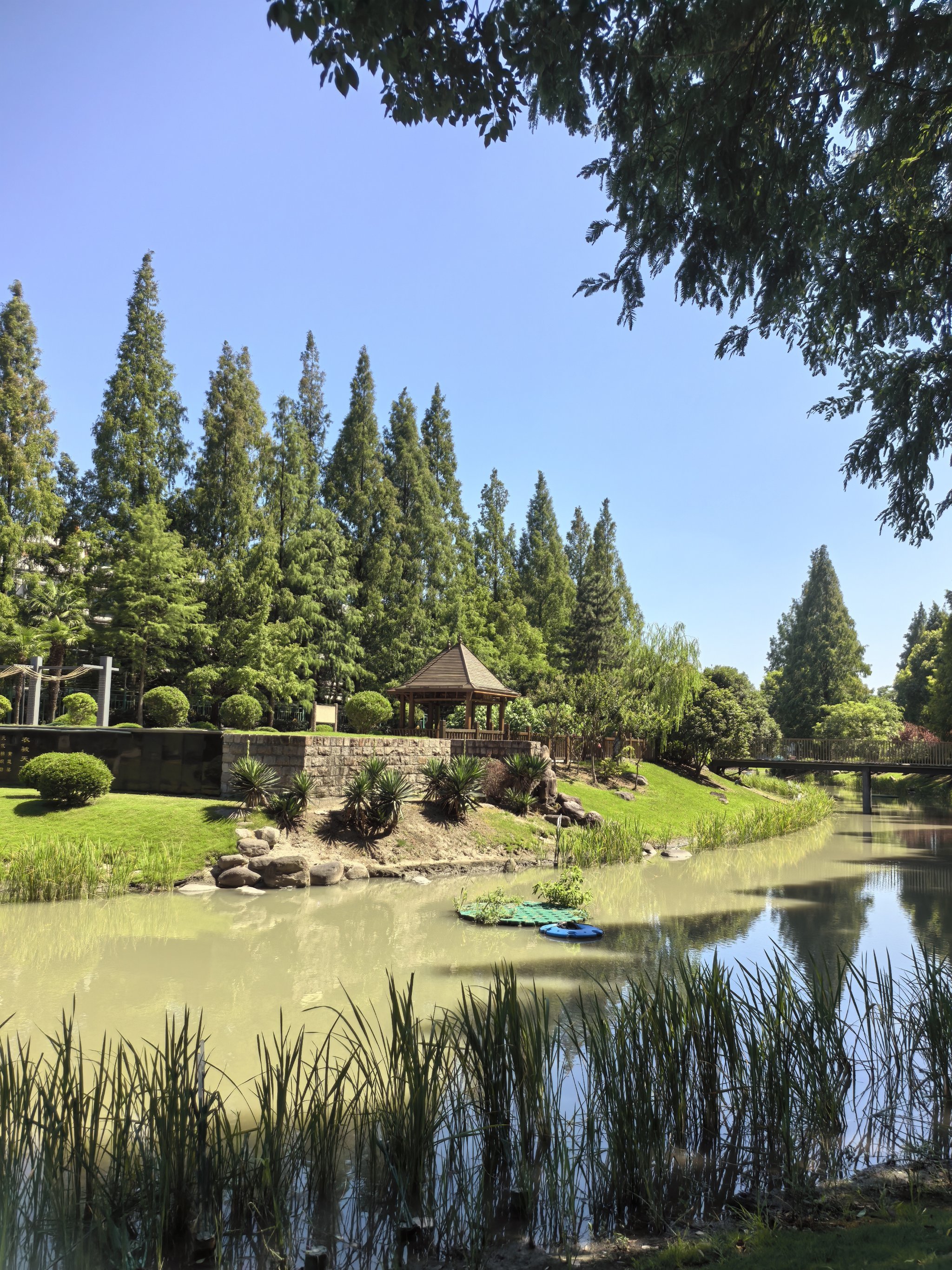 西岸自然艺术公园华泾的避暑胜地