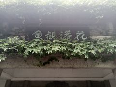 -西湖外事游船(花港观鱼码头)