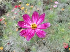 -共青国家森林公园-南大门停车场