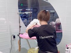 -FAELING PETS美天灵宠物(合生汇店)