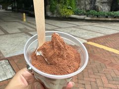 -九龙公园