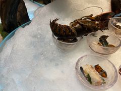 -半岛翡丽海鲜自助餐厅(观风亭店)