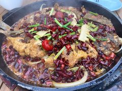 -老板恋上鱼(恒隆广场店)