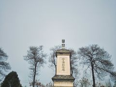 -西安青龙寺遗址景区