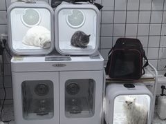 -BABIT巴比特宠物(MOMOPARK店)