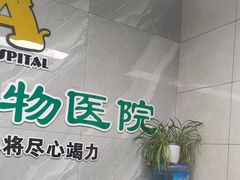 -半岛宠物医院24小时(白果林店)