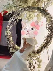 -金夫人婚纱摄影(总店)