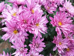 -香山公园-东宫门售票处