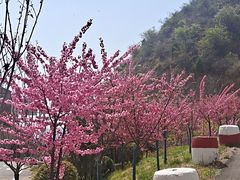 -云丘山景区