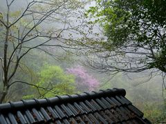 -藏龙百瀑风景区