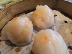 -金龙寨(龙城路店)