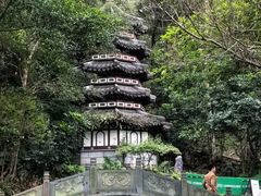 -深圳国际园林花卉博览园