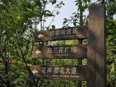 -南山植物园