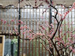 -阿细汉菜(本地盐帮菜名店)