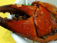 -石头咕(葵蓬店)