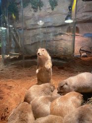 -Zoolung Zoolung动物主题公园(海信广场店)