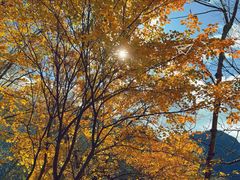 -叠溪松坪沟景区