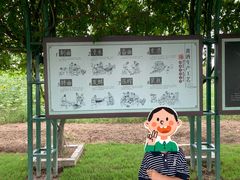 -杭州湾海上花田景区