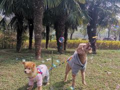 -洨河生态公园