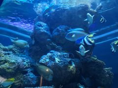 -成都浩海立方海洋公园