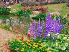 -人民公园(罗湖区)