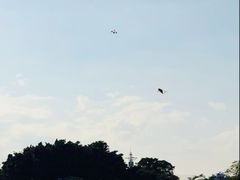 -海心沙亚运公园