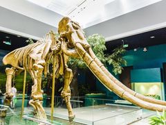 -国家自然博物馆