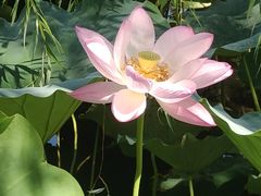 -莲池书院博物馆
