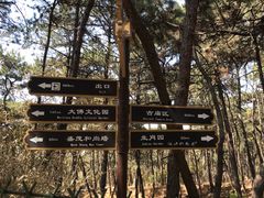 -红螺寺
