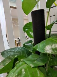 -RAGA皮肤管理中心·美体养生SPA