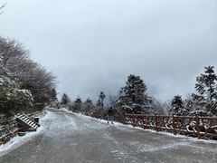 -武陵山森林公园