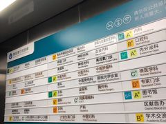 -上海市普陀区中心医院