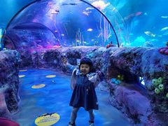 -沈阳海洋探索中心