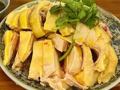 -九斤黄三黄鸡专卖店