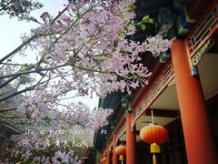 -居庸关长城