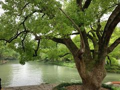 -西溪国家湿地公园
