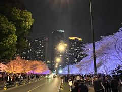 -西北湖绿化广场