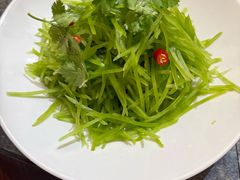 -饺子功·东北记忆·锅包肉(电厂路店)