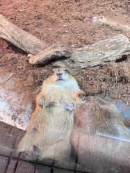 -Zoolung Zoolung动物主题公园(海信广场店)