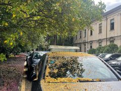 -南通濠河风景名胜区