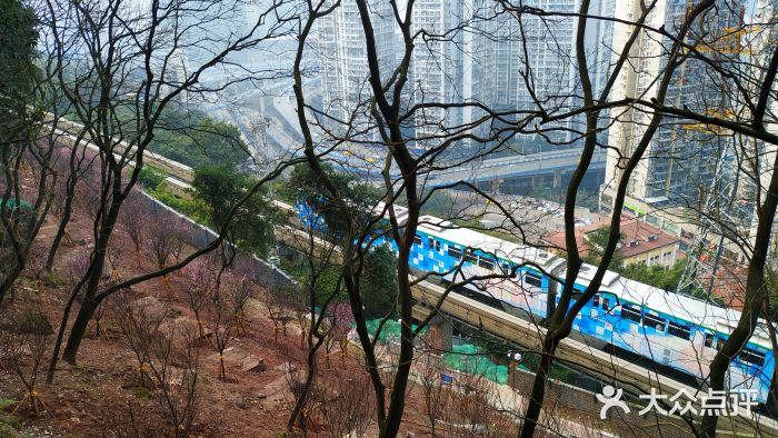 佛图关公园图片