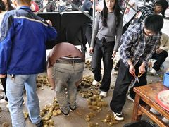 -衡厨·衡阳土菜(中南店)