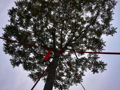 -萝卜寨羌文化生态旅游区