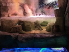 -沈阳海洋探索中心