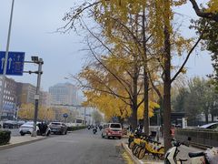 -北京理工大学(中关村校区)