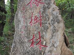 -北京上方山国家森林公园