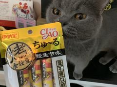 -我爱猫咪·猫咖·狗咖·安哥拉兔·羊驼咖(小寨华旗店)